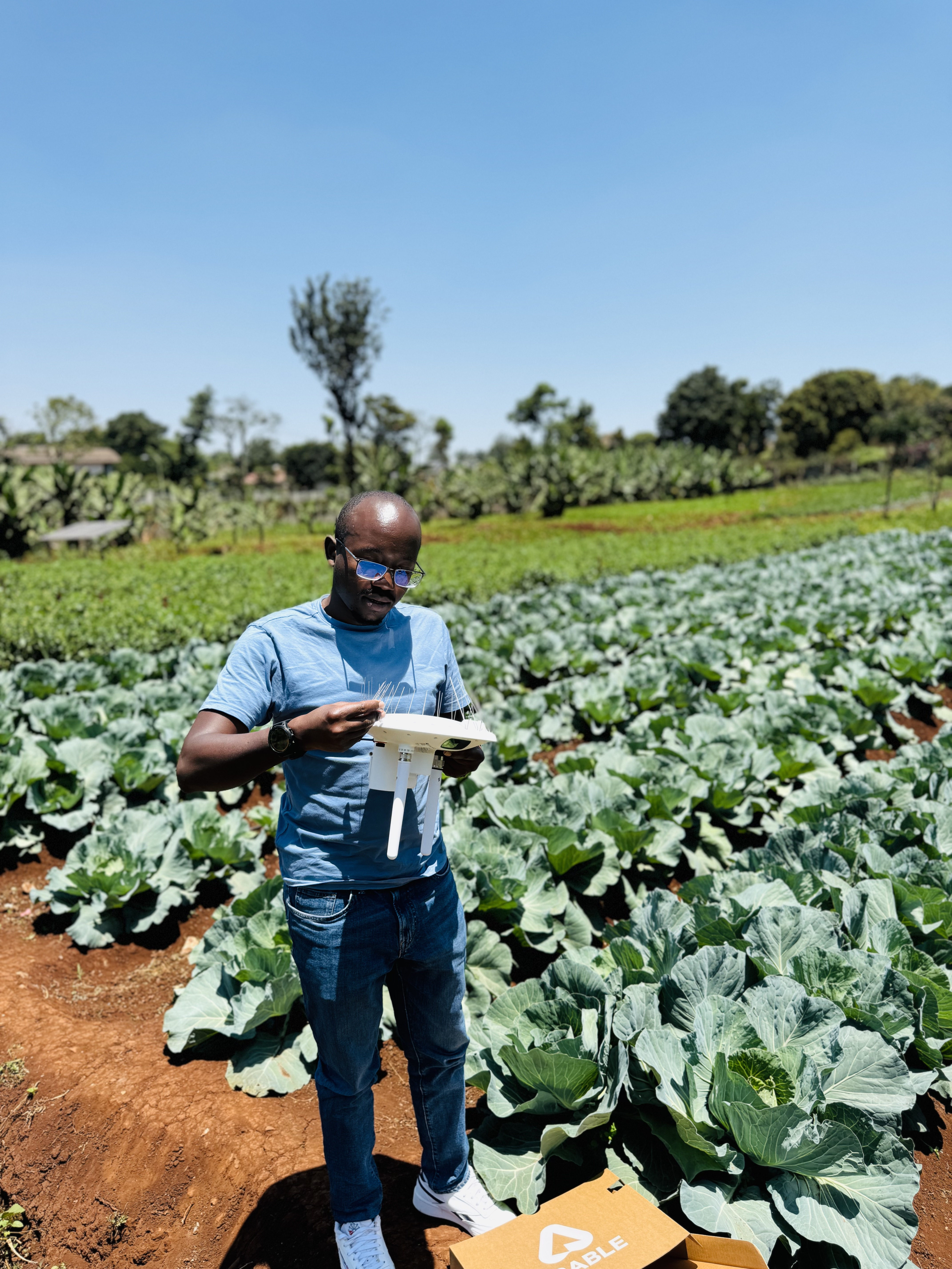 Sustainable innovation in agriculture - field researcher using technology in cabbage farm