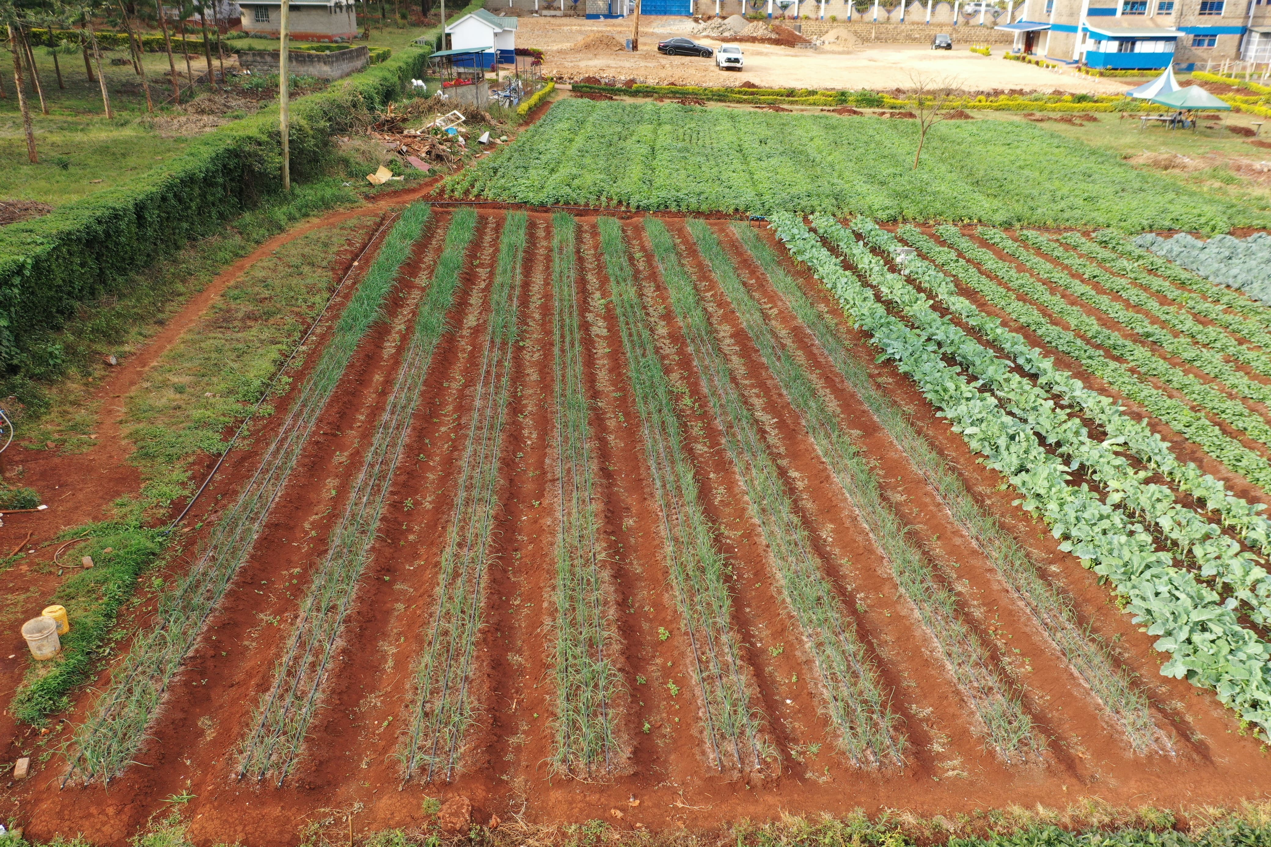 Advanced Irrigation Systems