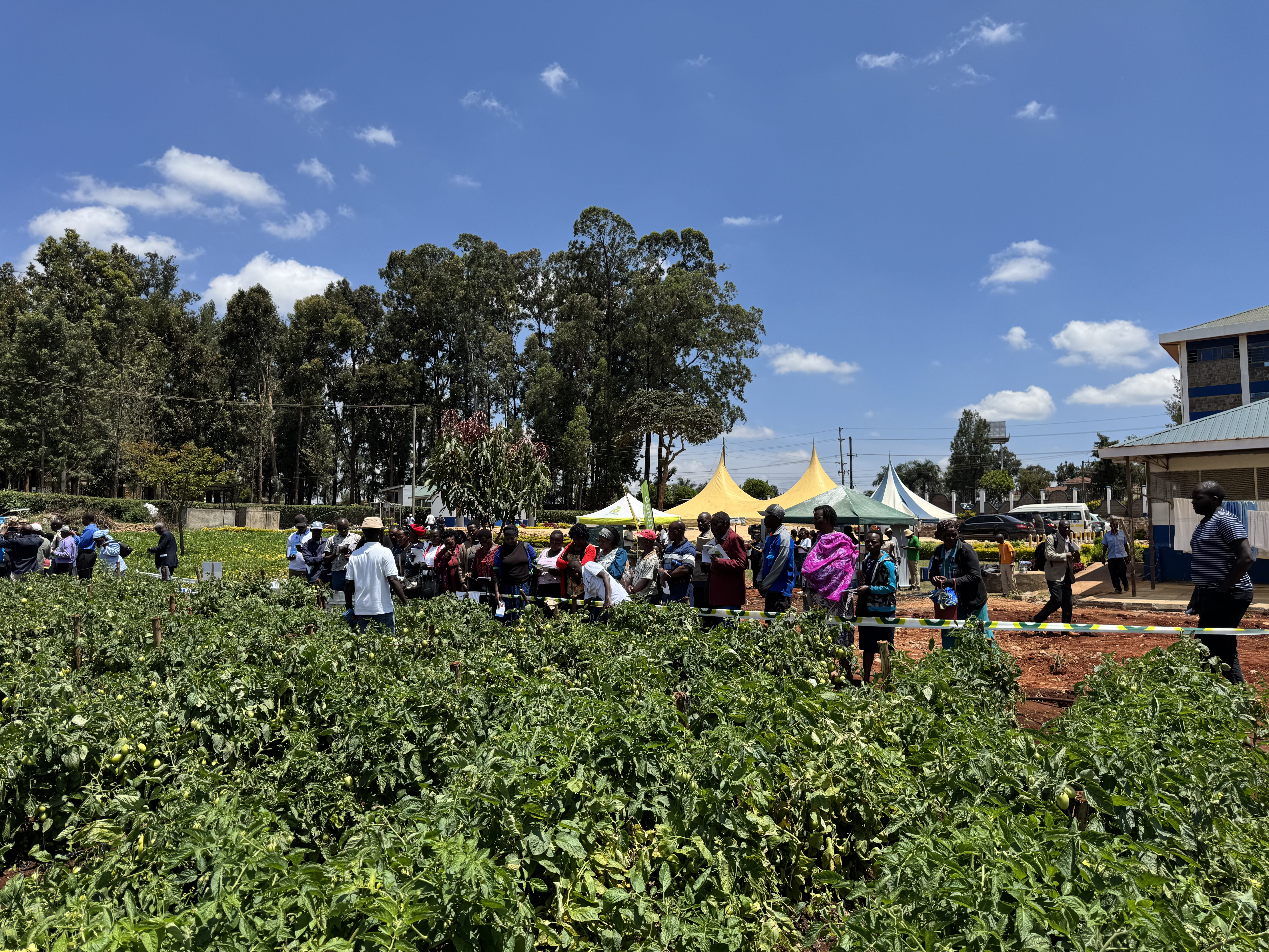 Kenarava team collaboration and stakeholder engagement in the field