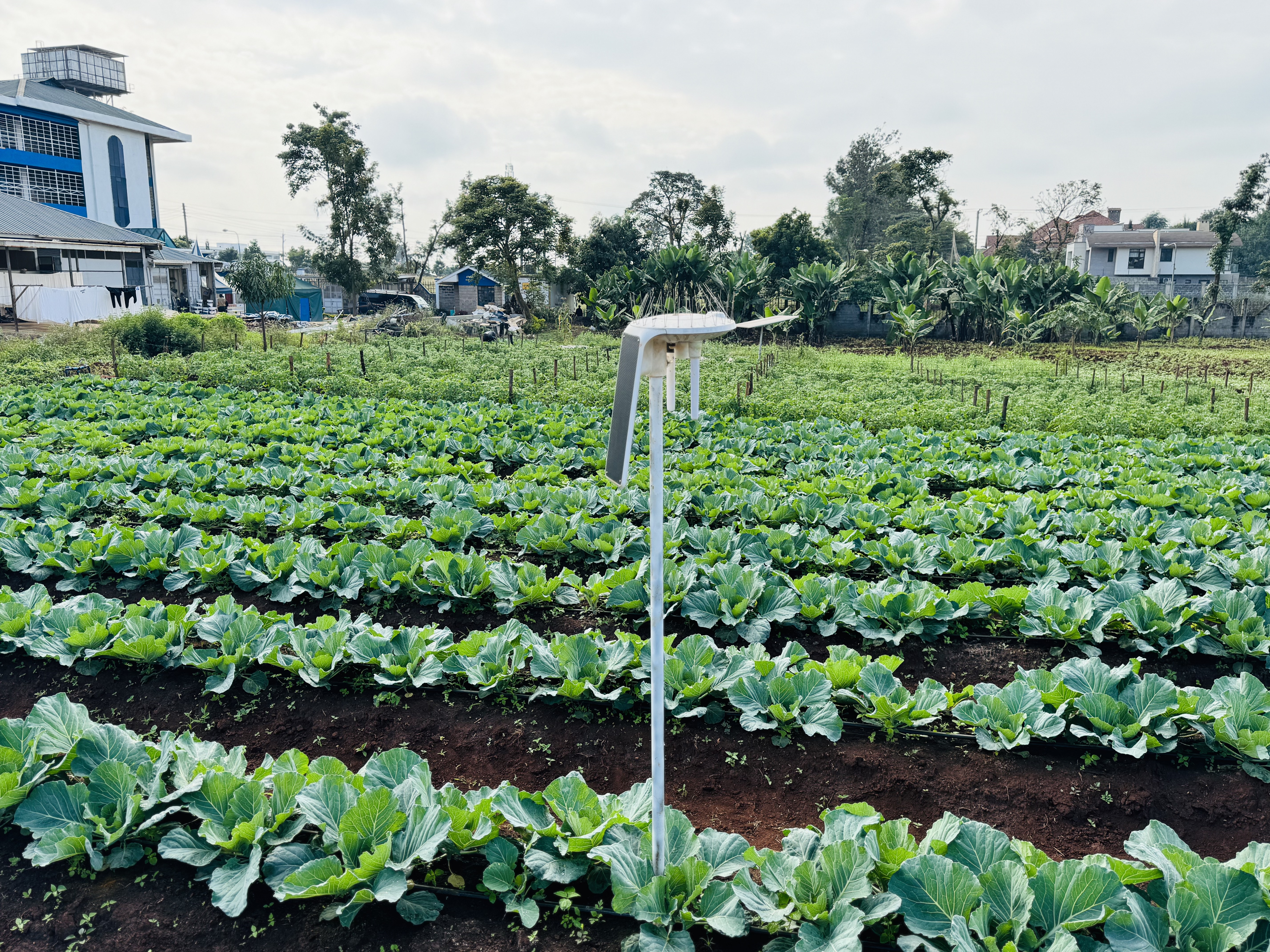 Modern Agriculture with Technology